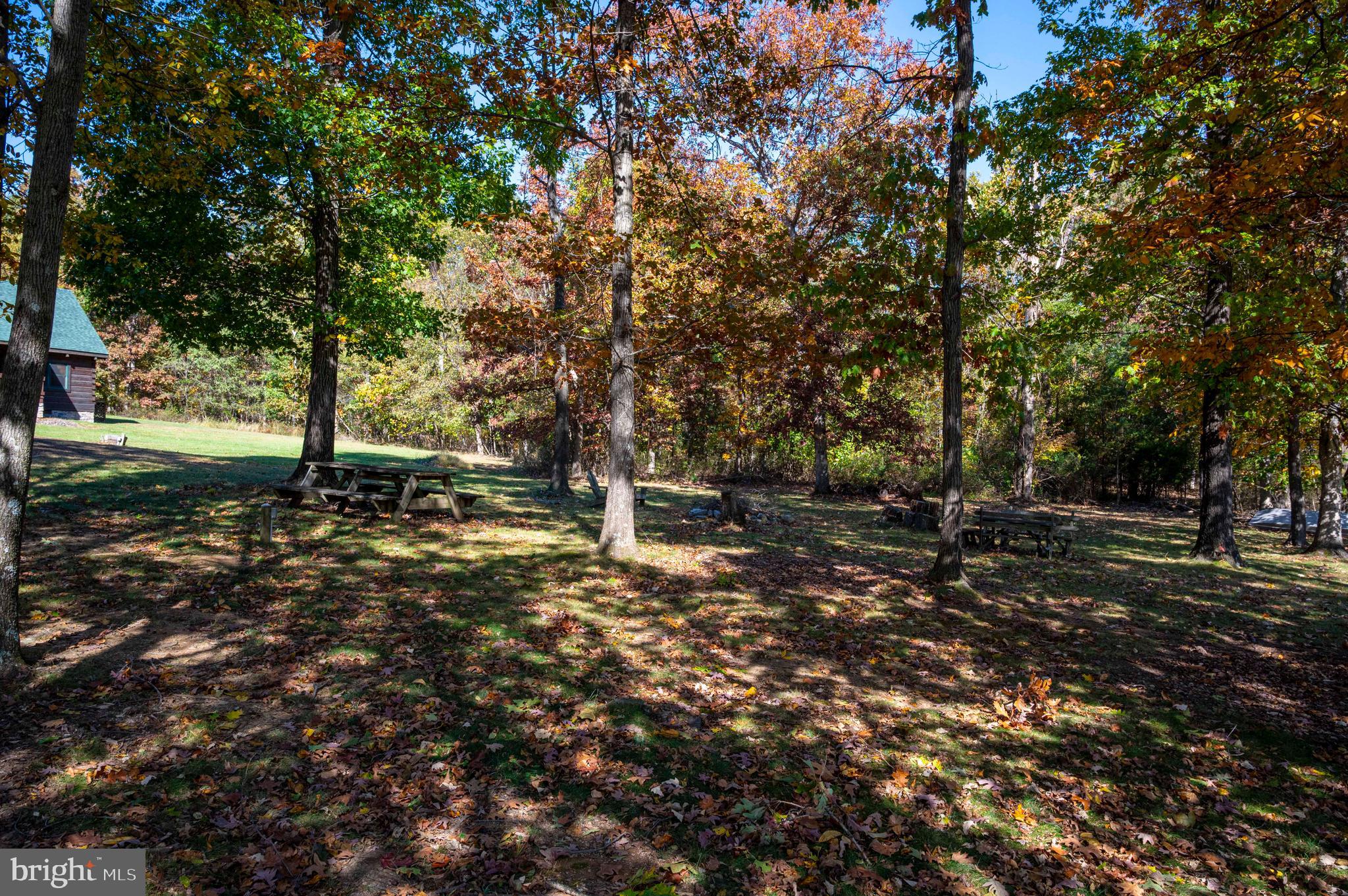10201 Leetown Road Kearneysville, WV 25430 - Photo 100 of 133 a view of a tree in the middle of a yard
