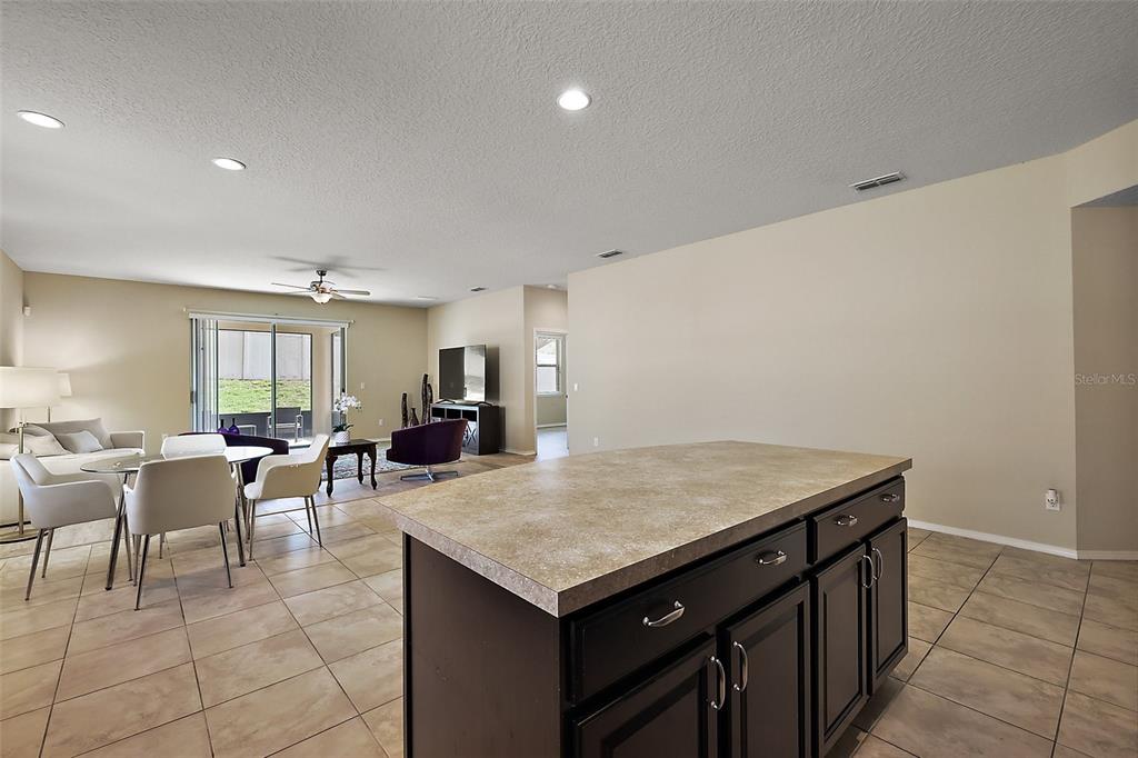 20945 Oldenburg Loop Mount Dora, FL 32757 - Photo 14 of 37 a view of a livingroom with furniture and window
