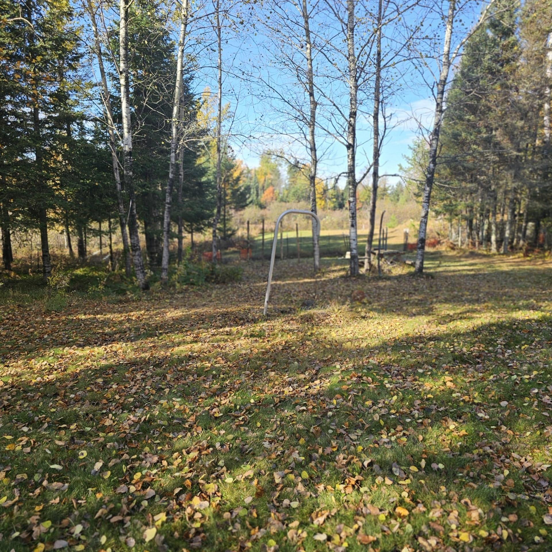 1323 Pratt Junction Road Pelican Lake, WI 54463 - Photo 8 of 24 Gallery Image 8
