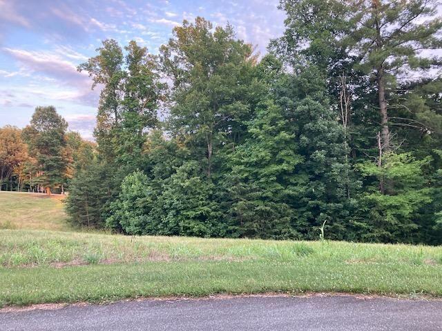 Lot 30 Revolution Road Wirtz, VA 24184 - Photo 2 of 8 a view of a yard with a tree