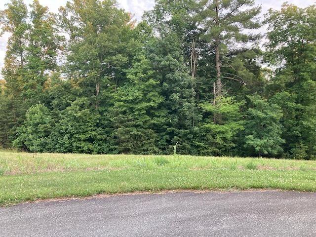 Lot 30 Revolution Road Wirtz, VA 24184 - Photo 4 of 8 a view of a field