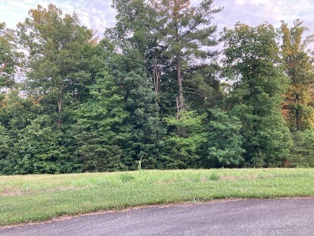 Lot 30 Revolution Road Wirtz, VA 24184 - Photo 5 of 8 a view of a yard with a tree