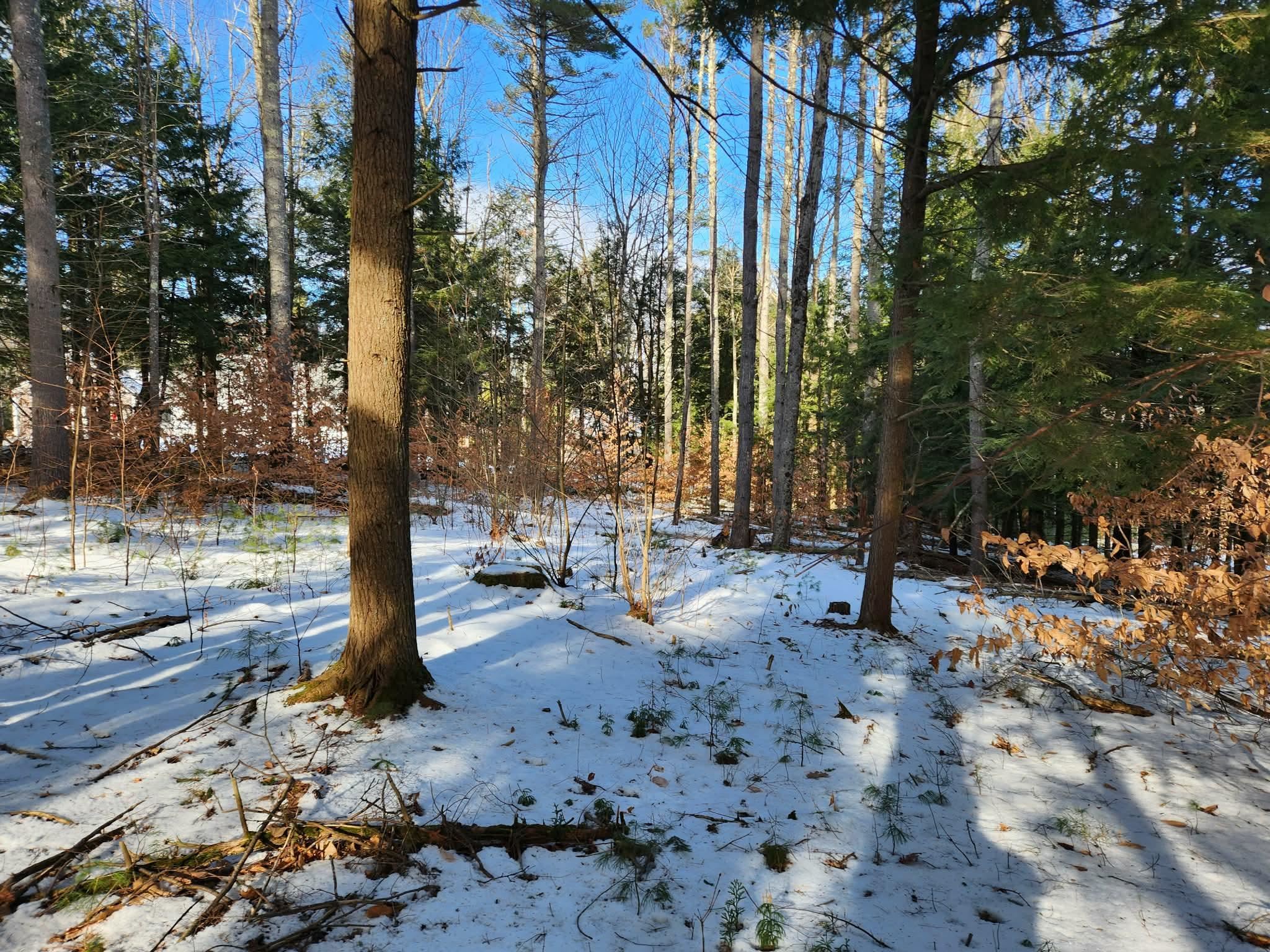 0 Munsey Road, Unit 123106 Gilmanton, NH 03237 - Photo 28 of 30 Gallery Image 28