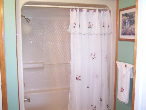 408 Fralins Road Rocky Mount, VA 24151 - Photo 7 of 16 Master bathroom picture#2