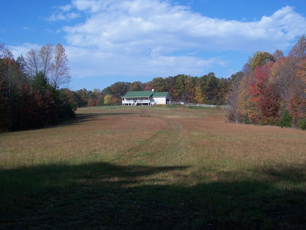 408 Fralins Road Rocky Mount, VA 24151 - Photo 9 of 16 View from woods up to home!!