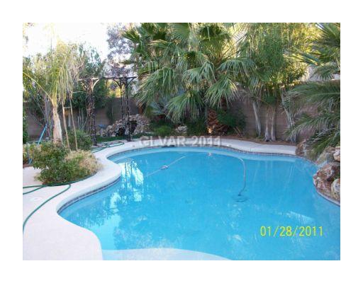 9153 Rusty Rifle Avenue Las Vegas, NV 89143 - Photo 16 of 18 Swimming Pool/Hot Tub/Sauna.