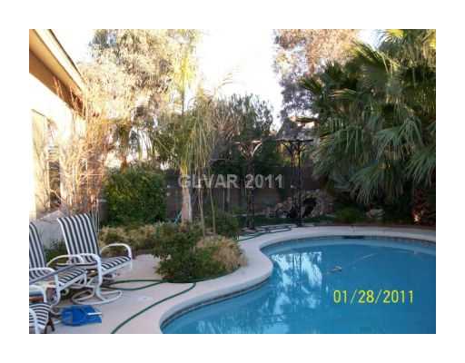 9153 Rusty Rifle Avenue Las Vegas, NV 89143 - Photo 17 of 18 Swimming Pool/Hot Tub/Sauna.