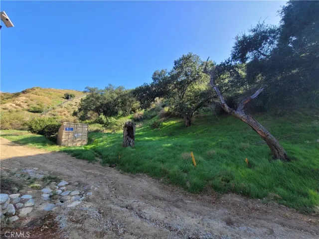 a view of a yard with a house in the background