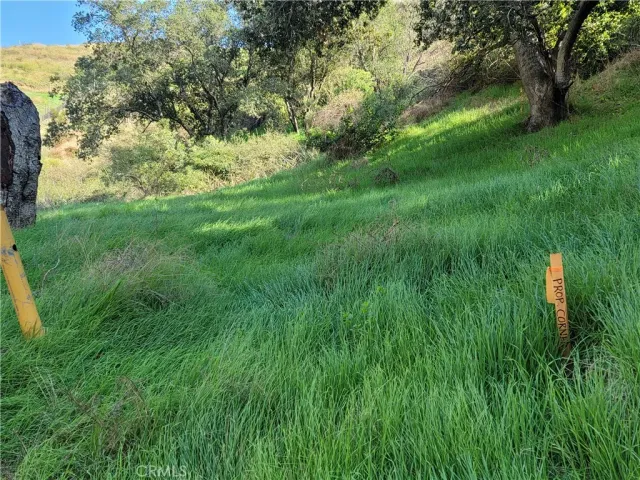 a picture of street view with an outdoor space