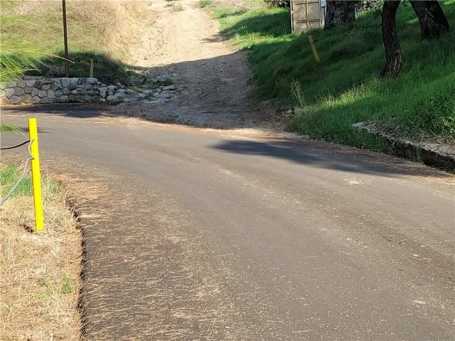 a view of a yard with plants