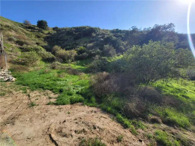 a view of a dry yard with mountains in the background