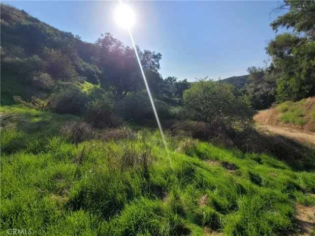 a view of a back yard