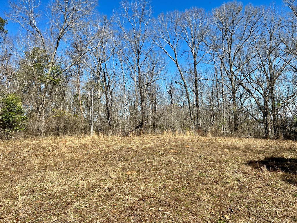 0 County Road 97 Abbeville, AL 36310 - Photo 46 of 53