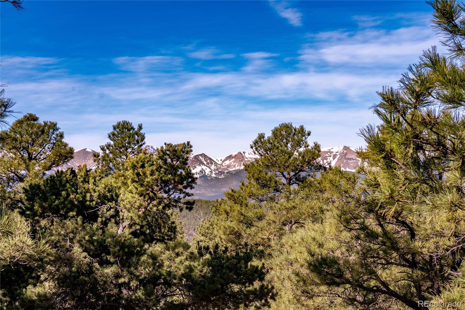 13240 Big Pine Ridge Road Weston, CO 81091 - Photo 39 of 49 a view of a bunch of trees