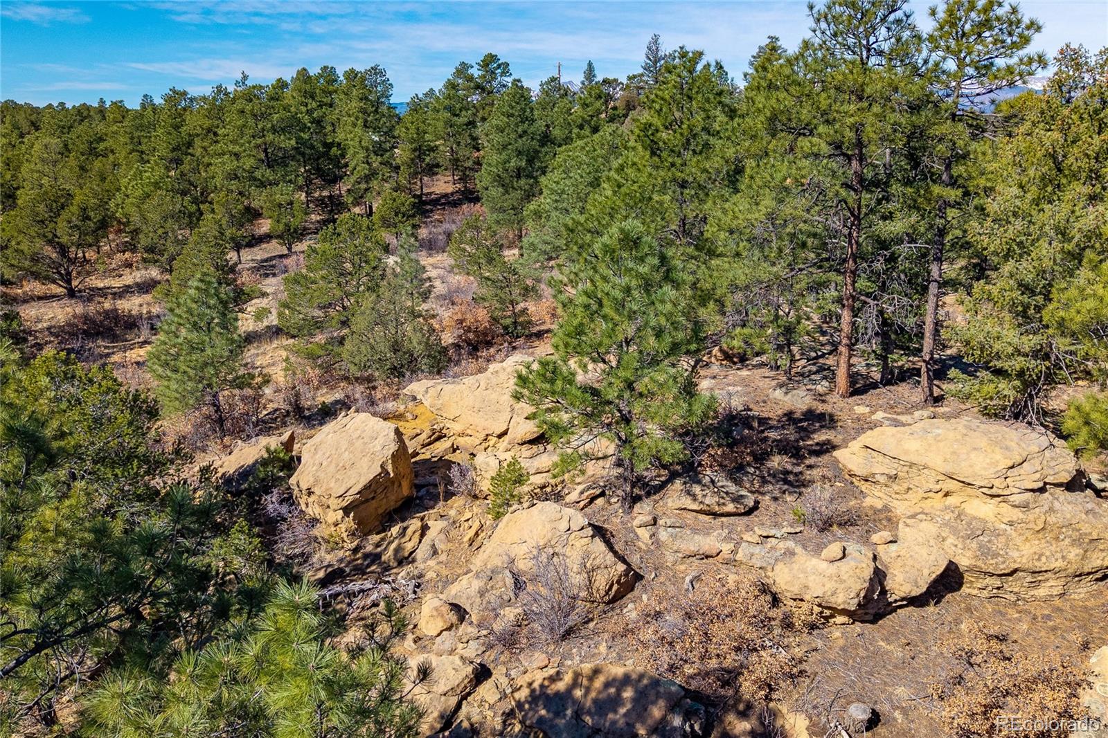 13240 Big Pine Ridge Road Weston, CO 81091 - Photo 45 of 49 a view of a yard with a tree