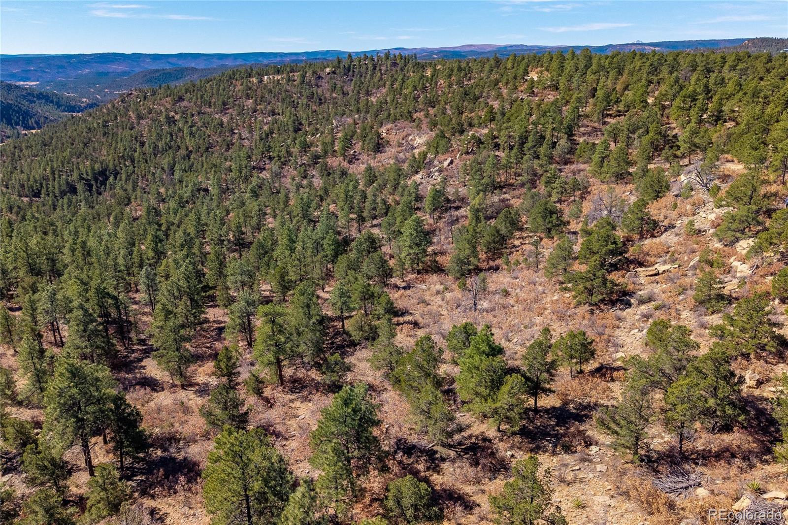 13240 Big Pine Ridge Road Weston, CO 81091 - Photo 48 of 49 a view of a green field