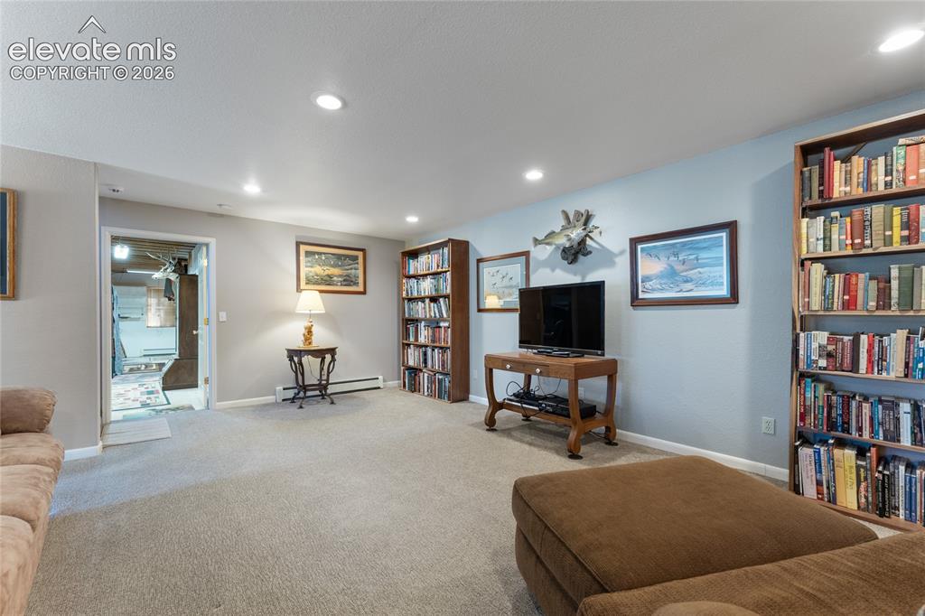 657 Spring Valley Drive Divide, CO 80814 - Photo 27 of 43 Spacious carpeted room featuring recessed lighting and built-in shelving