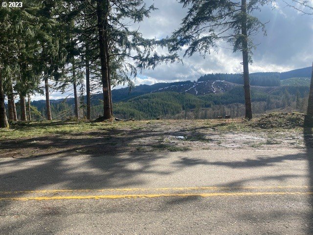 Callahan, Unit 26 Scappoose, OR 97056 - Photo 1 of 9 a view of a backyard of a house