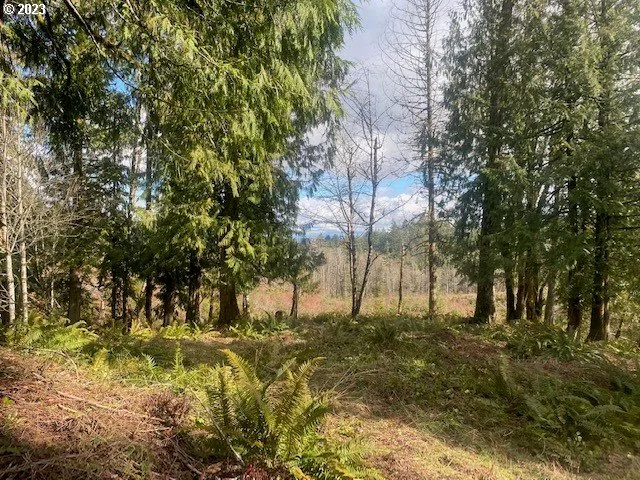 a view of swimming pool