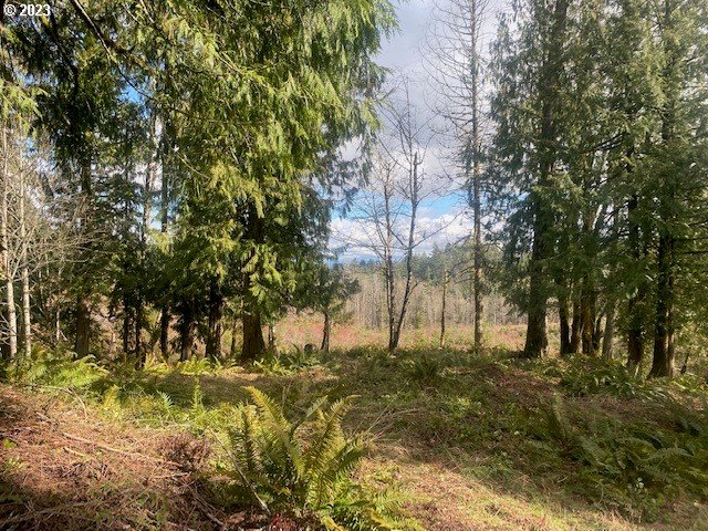 Callahan, Unit 26 Scappoose, OR 97056 - Photo 4 of 9 a view of swimming pool