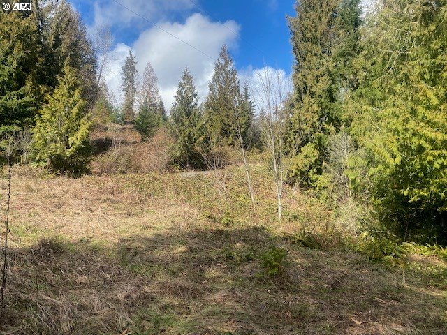 Callahan, Unit 26 Scappoose, OR 97056 - Photo 6 of 9 a view of a yard covered with trees