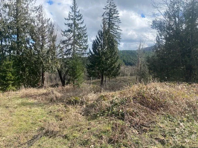 a view of a yard with a tree