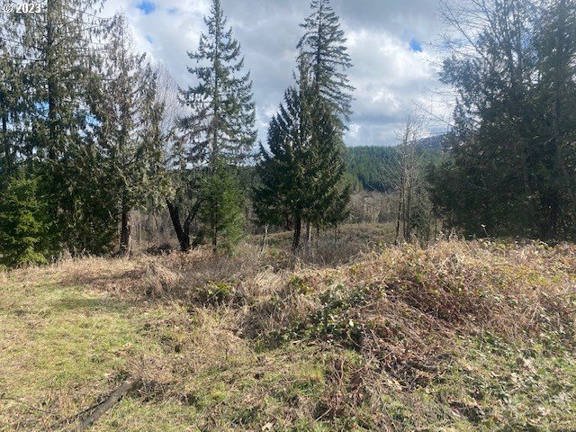 Callahan, Unit 26 Scappoose, OR 97056 - Photo 7 of 9 a view of a yard with a tree