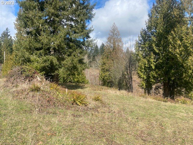 Callahan, Unit 26 Scappoose, OR 97056 - Photo 9 of 9 a view of a yard with trees