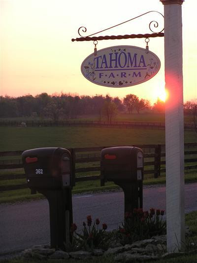 362 Iron Works Road Paris, KY 40361 - Photo 43 of 44 Photo 43