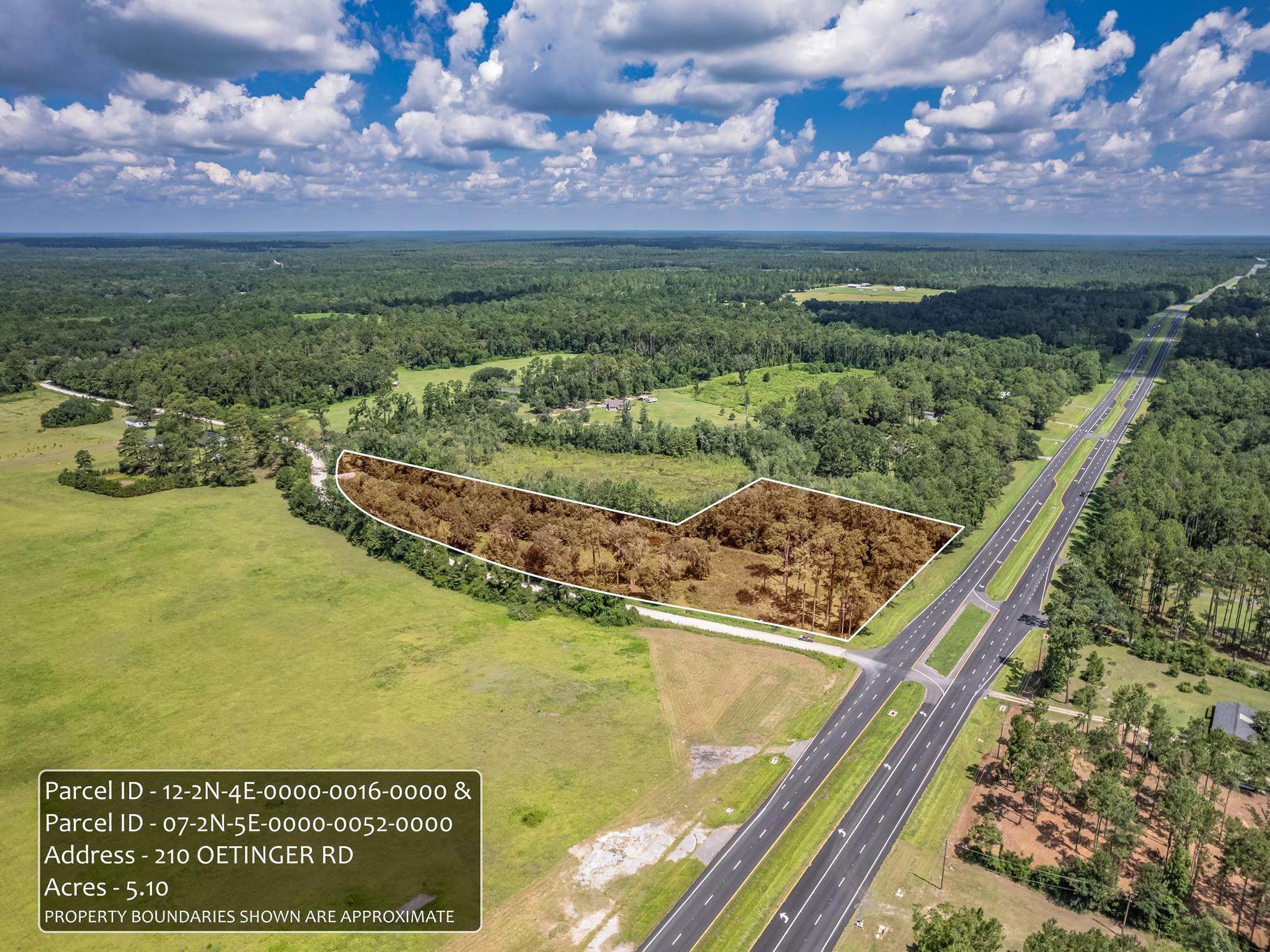 210 Oetinger Road Monticello, FL 32344 - Photo 4 of 5 Gallery Image 4