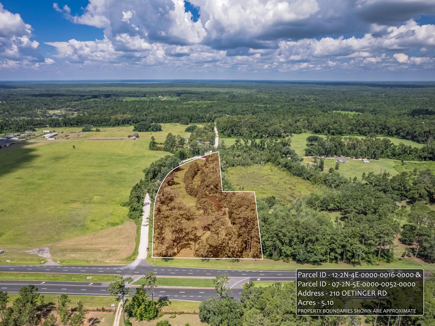 210 Oetinger Road Monticello, FL 32344 - Photo 5 of 5 Gallery Image 5