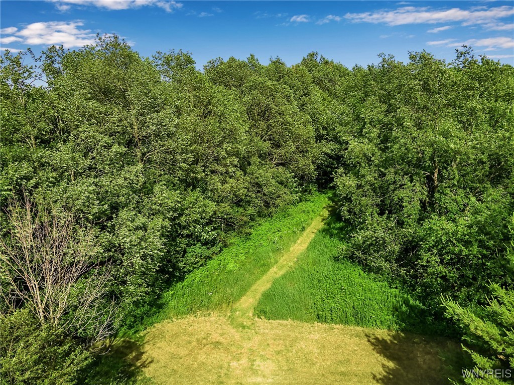 4240 Telegraph Road Eagle, NY 14024 - Photo 45 of 50