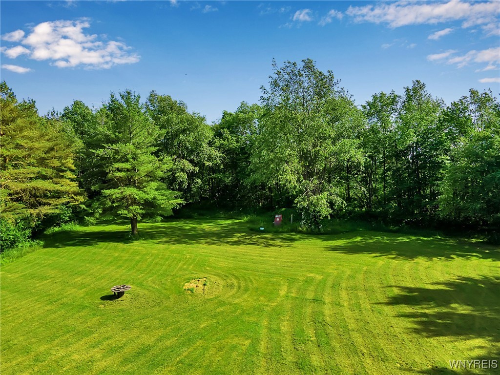 4240 Telegraph Road Eagle, NY 14024 - Photo 46 of 50