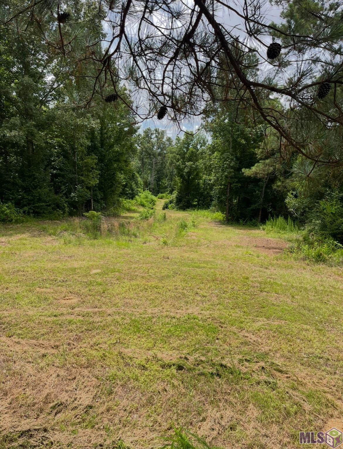 11255 Old Port Gibson Road Port Gibson, MS 39150 - Photo 25 of 32