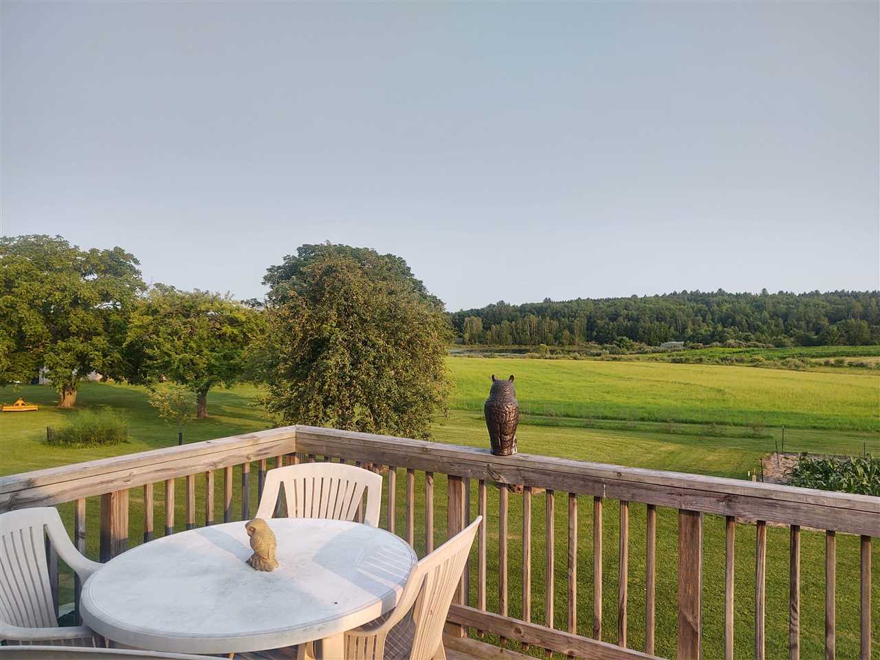 5540 Taber Road South Branch, MI 48761 - Photo 5 of 61 1890785-4.JPG