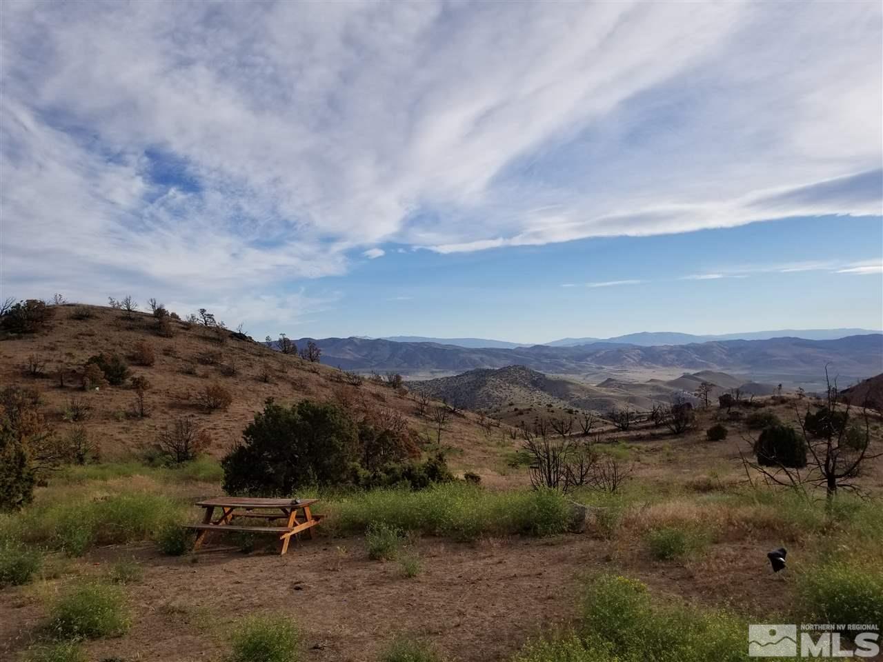 2000 Piute Creek Road Reno, NV 89510 - Photo 4 of 17 an aerial view of green landscape and trees