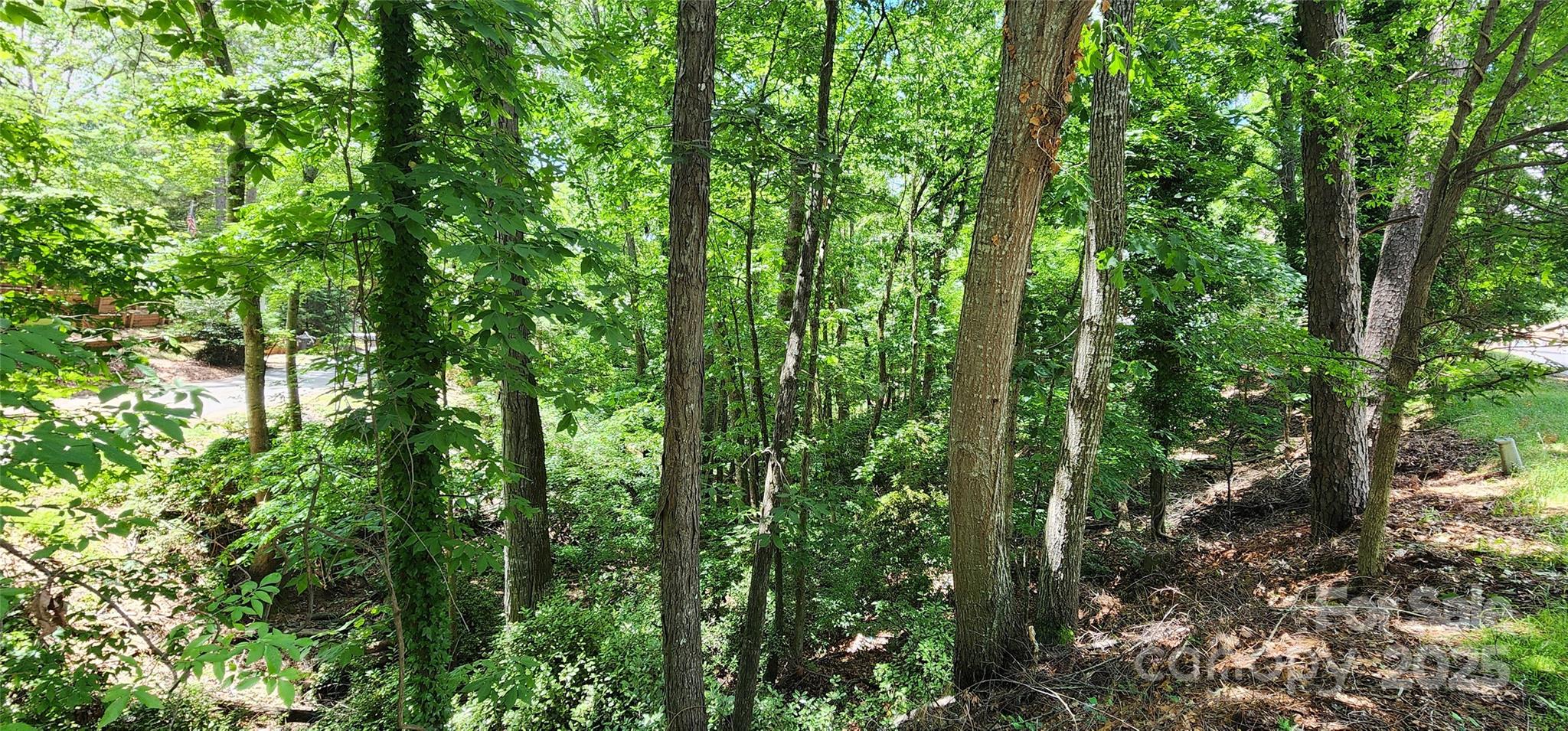 9064 Tulagi Court Fort Mill, SC 29708 - Photo 13 of 35 Gallery Image 13