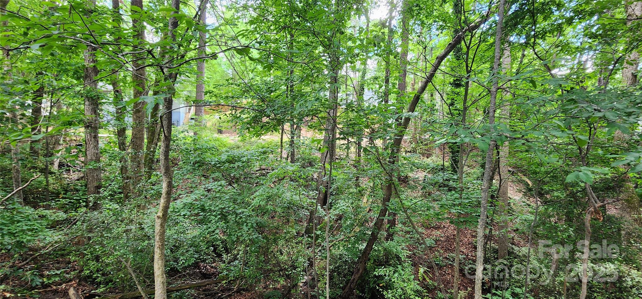 9064 Tulagi Court Fort Mill, SC 29708 - Photo 18 of 35 Gallery Image 18
