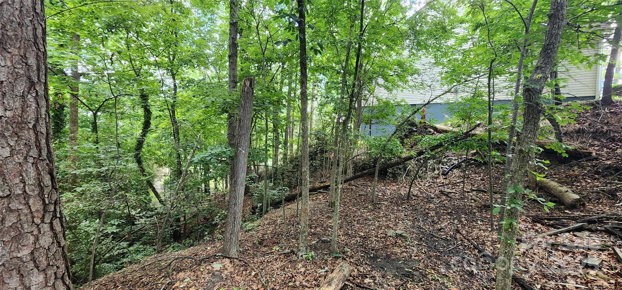9064 Tulagi Court Fort Mill, SC 29708 - Photo 19 of 35 Gallery Image 19