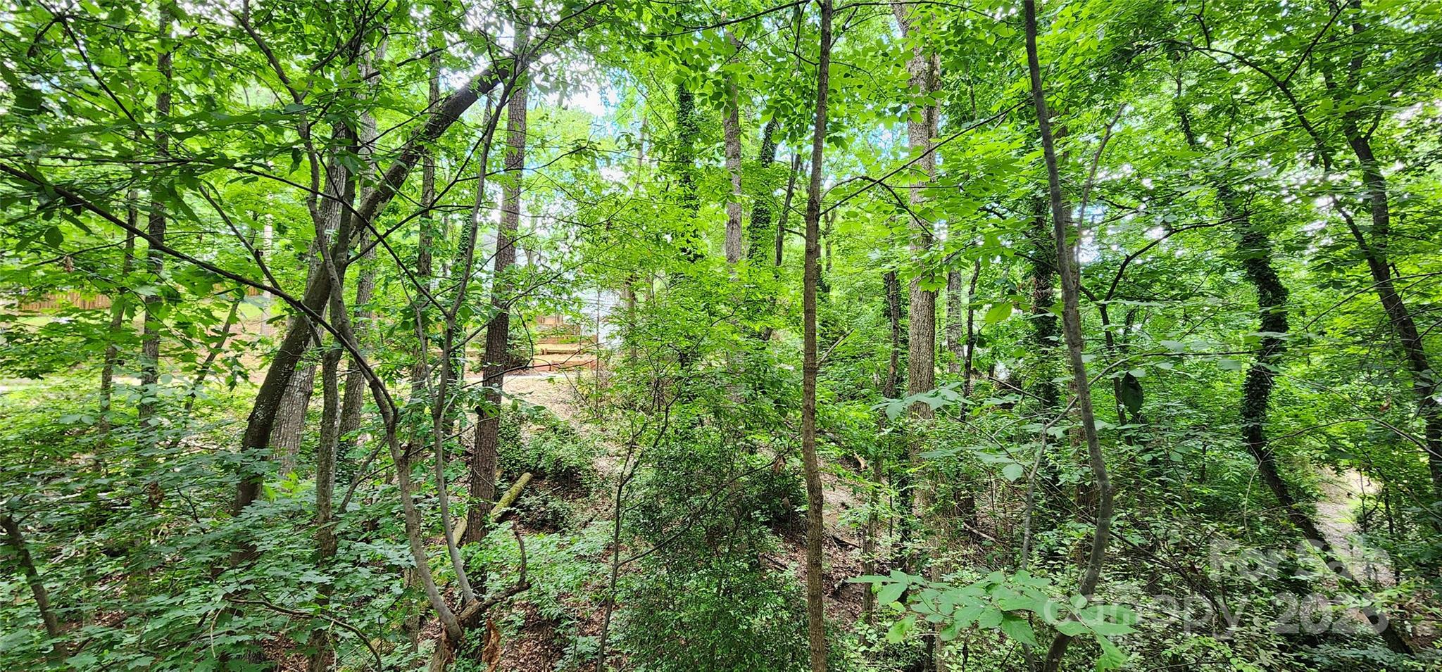 9064 Tulagi Court Fort Mill, SC 29708 - Photo 21 of 35 Gallery Image 21