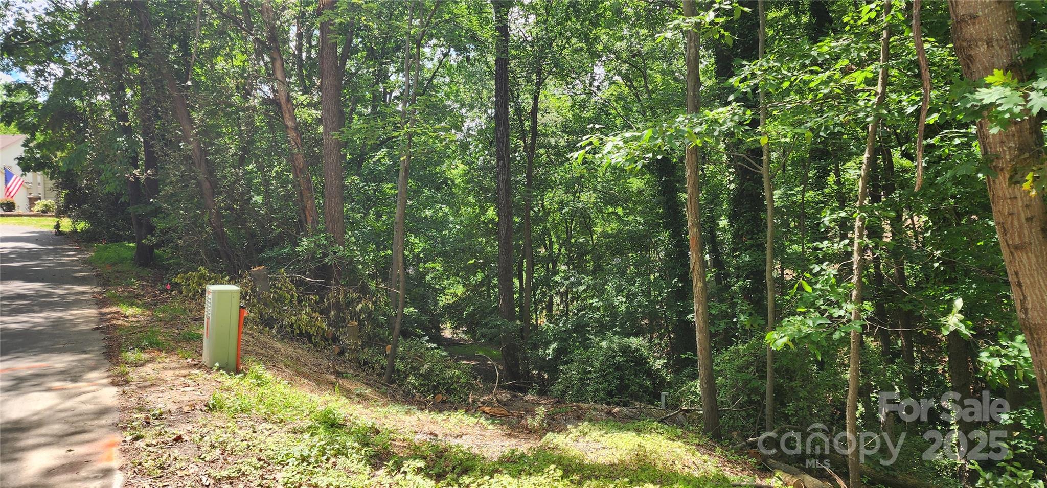 9064 Tulagi Court Fort Mill, SC 29708 - Photo 29 of 35 Gallery Image 29
