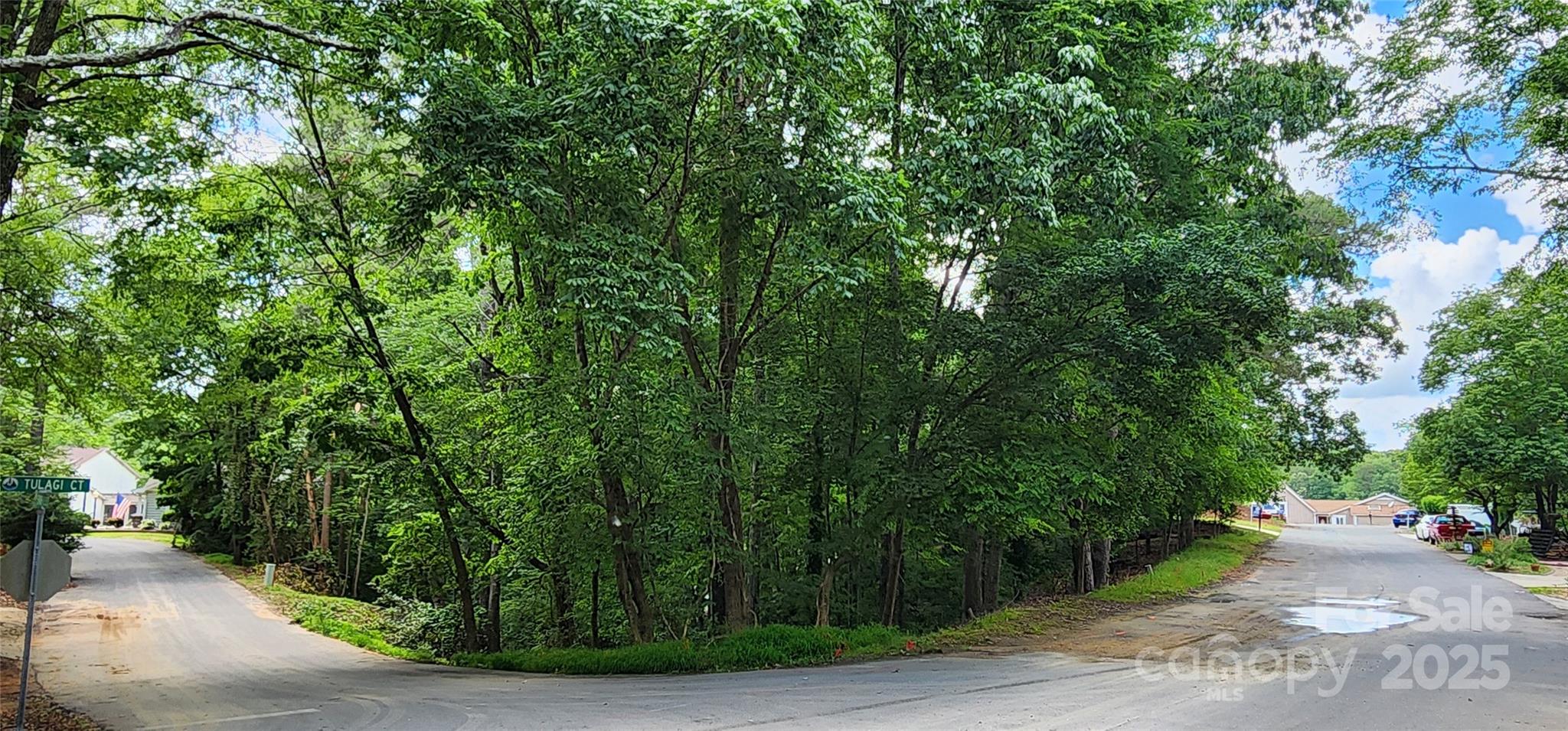 9064 Tulagi Court Fort Mill, SC 29708 - Photo 4 of 35 Gallery Image 4