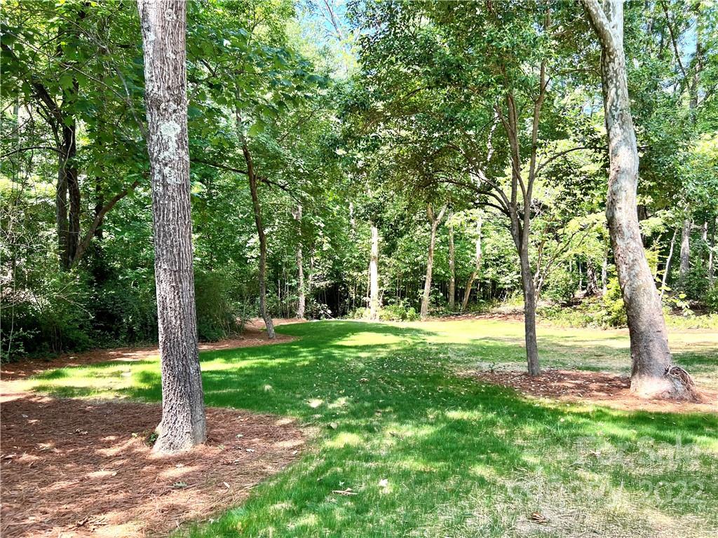 244 Pine Road Davidson, NC 28036 - Photo 36 of 37 Gallery Image 36