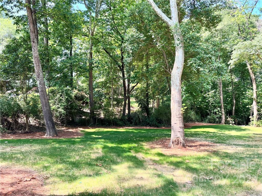 244 Pine Road Davidson, NC 28036 - Photo 37 of 37 Gallery Image 37