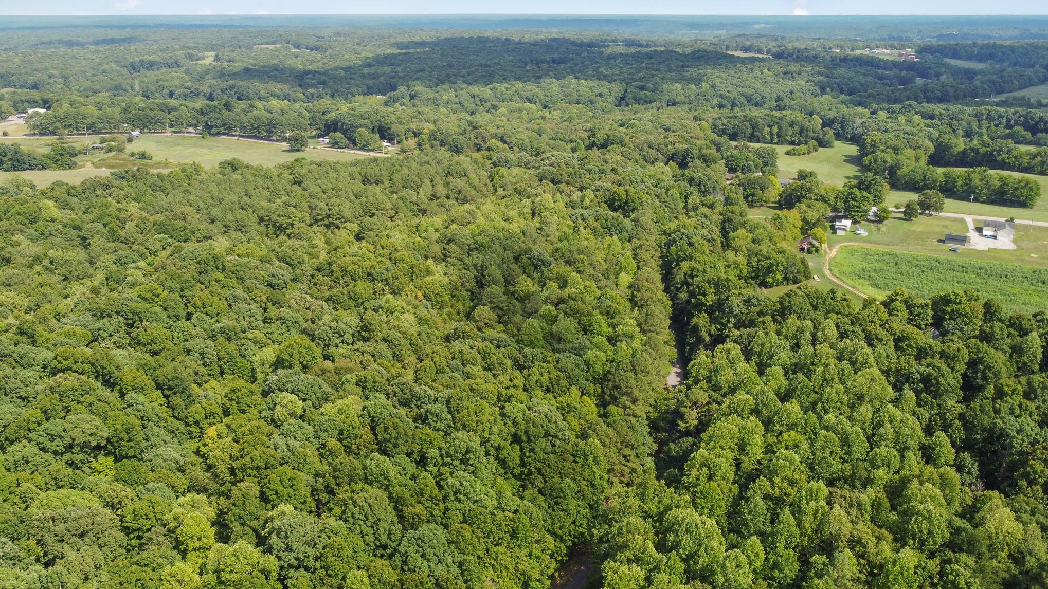 2111 Moorefield Road Cunningham, TN 37052 - Photo 5 of 13 a view of a lush green field