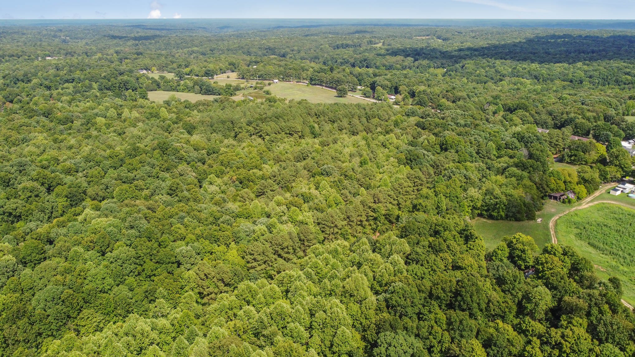 2111 Moorefield Road Cunningham, TN 37052 - Photo 6 of 13 a view of a field with a lush green forest
