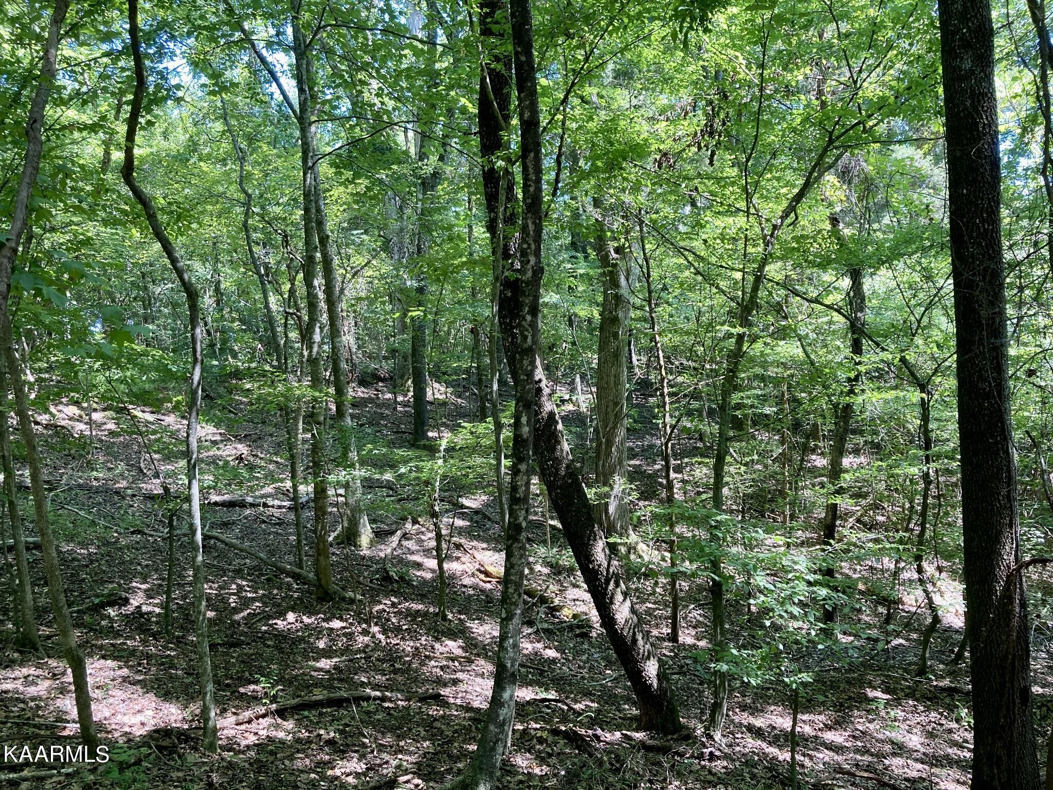 Village Drive Spring City, TN 37381 - Photo 11 of 21 10