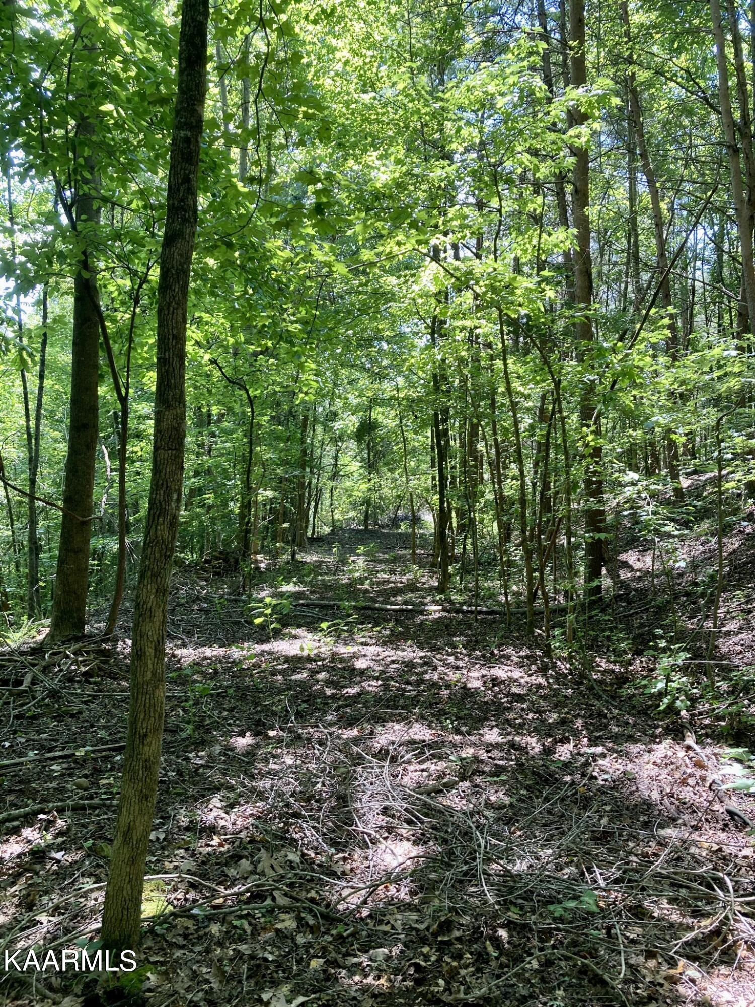 Village Drive Spring City, TN 37381 - Photo 13 of 21 12