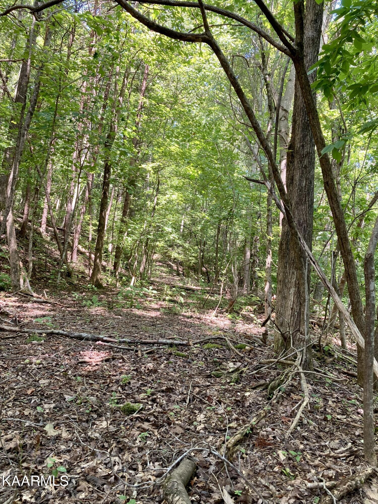Village Drive Spring City, TN 37381 - Photo 14 of 21 13