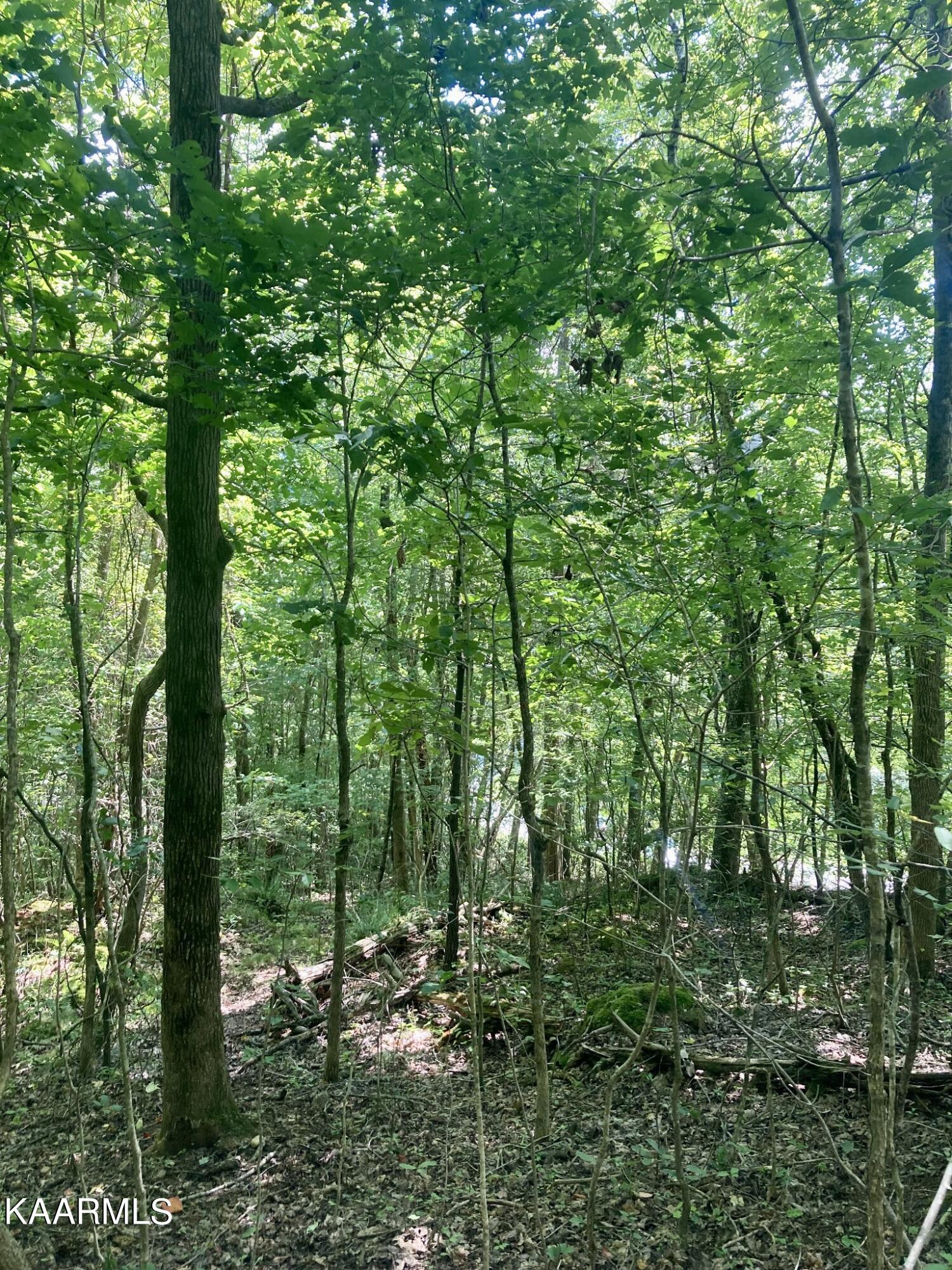 Village Drive Spring City, TN 37381 - Photo 16 of 21 15